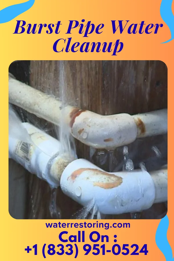 Burst Pipe Water Cleanup in Griffin, IN