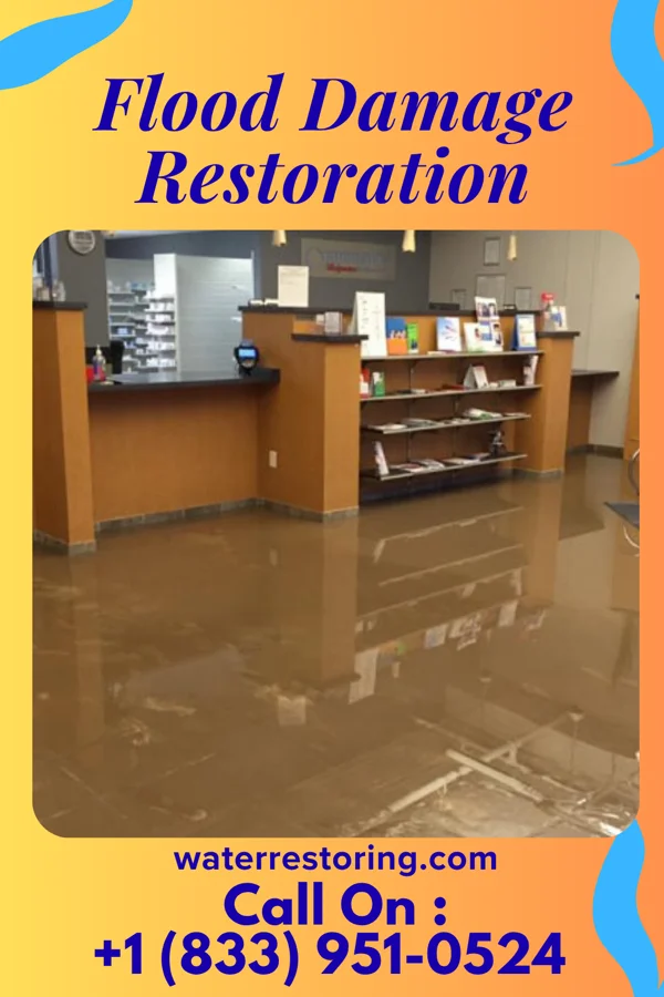 Flood Damage Restoration in Griffin, IN