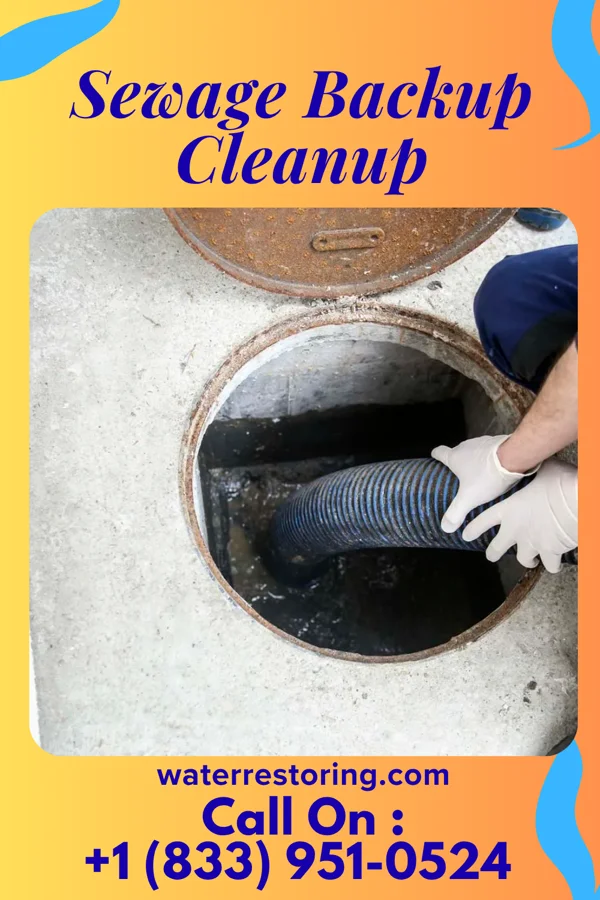 Sewage Backup Cleanup in Griffin, IN